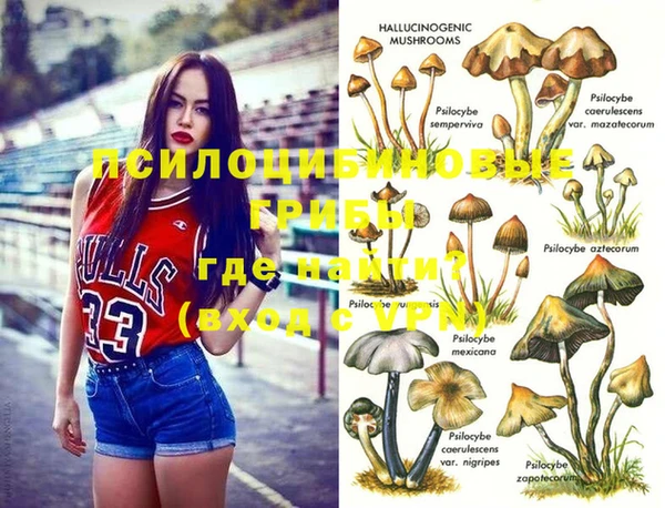 MDMA Premium VHQ Алзамай