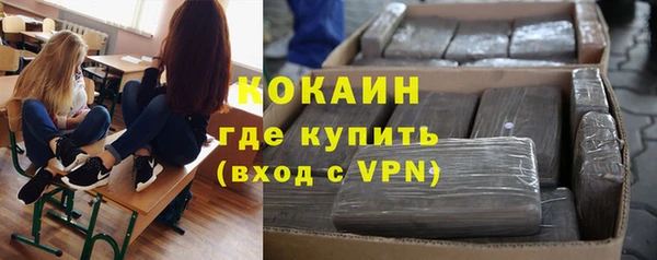 твердый Алексеевка