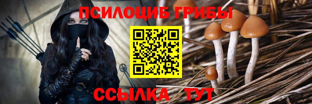 хочу   Галлюциногенные грибы GOLDEN TEACHER  Вход с VPN  Топки 